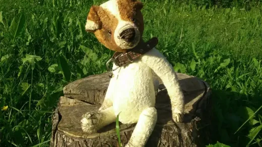 Собачка в стиле тедди